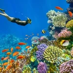Ras Mohammed Snorkeling
