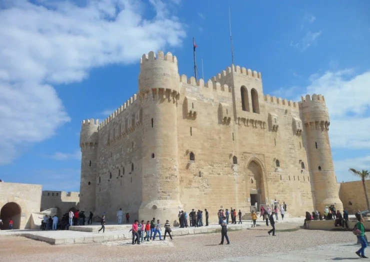 Tour Alessandria dal Cairo